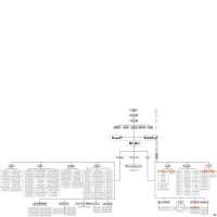 راسته اسکوآماتا Squamata